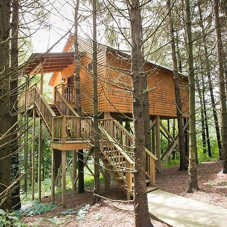 Whispering Pines Treehouse By Amish Country Lodging Millersburg Bagian luar foto