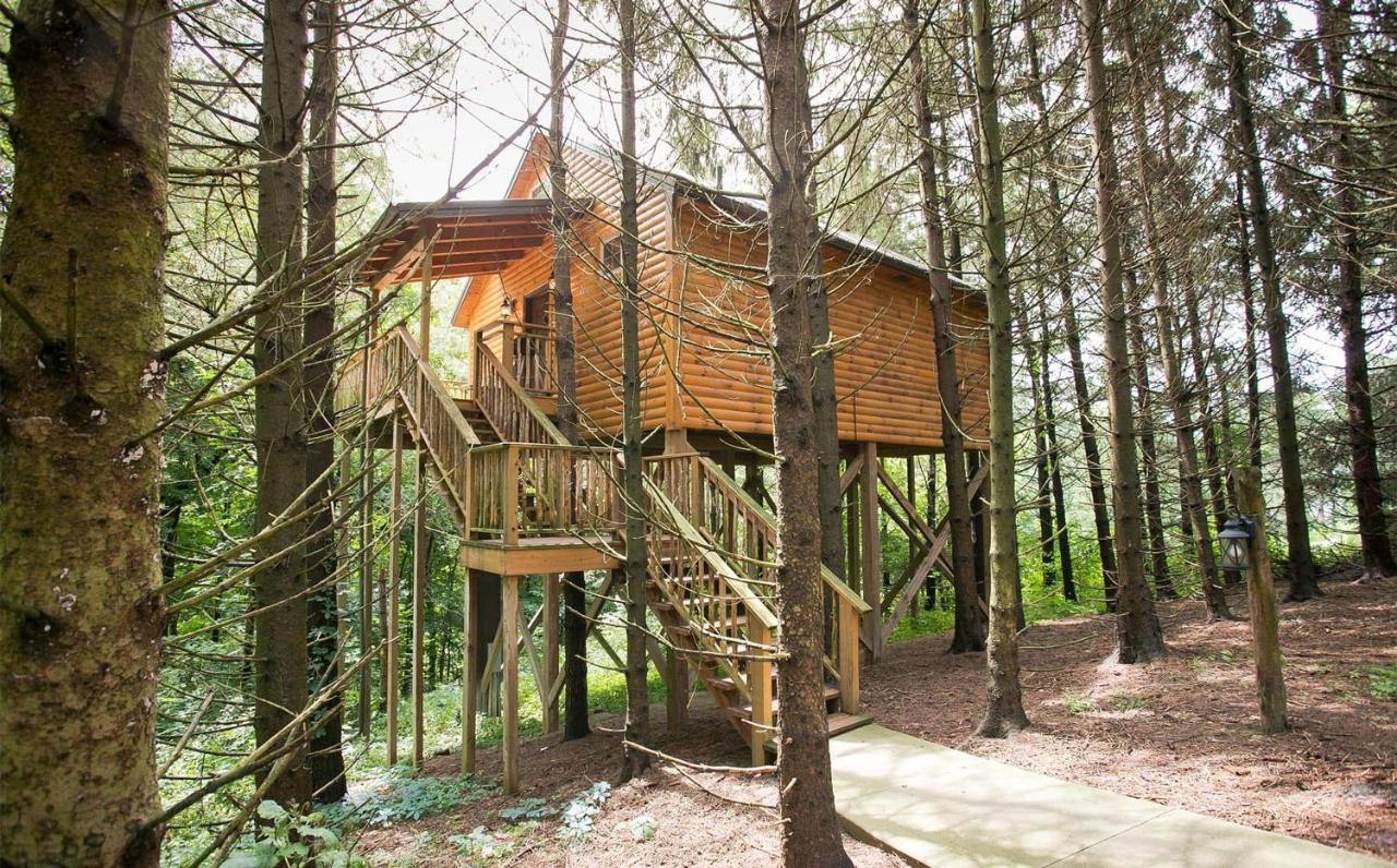 Whispering Pines Treehouse By Amish Country Lodging Millersburg Bagian luar foto